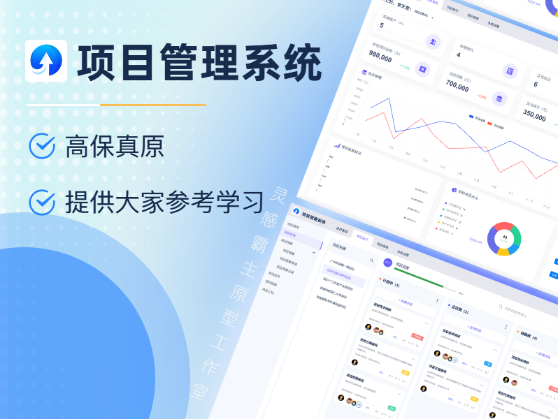 以数字化驱动项目效能：项目管理系统开发策略与建议